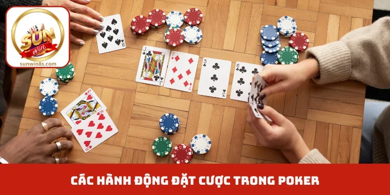 Cách Chơi Poker - Bí Quyết "Gom Hết Tiền" Của Đối Thủ Các hành động đặt cược trong Poker