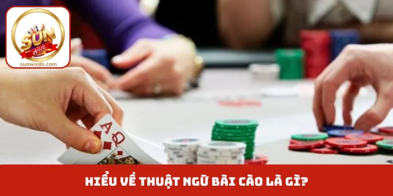 Bài Cào Là Gì - Khái Niệm Và Phân Loại Cho Người Mới Hiểu về thuật ngữ bài cào là gì?