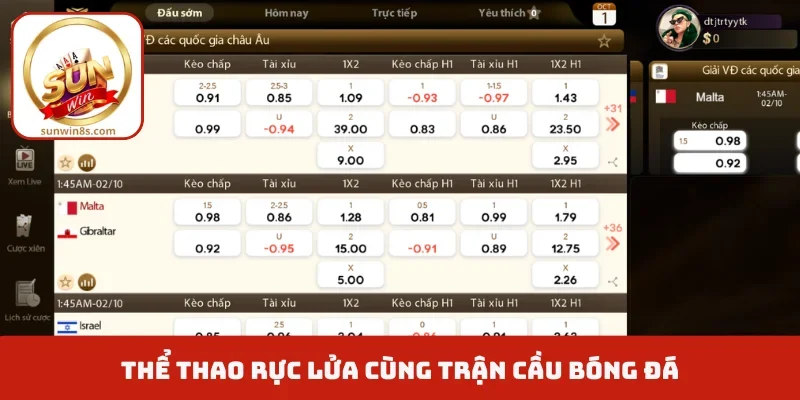 Sảnh Thể thao Sunwin cung cấp cá cược trực tuyến Thể thao rực lửa cùng trận cầu bóng đá